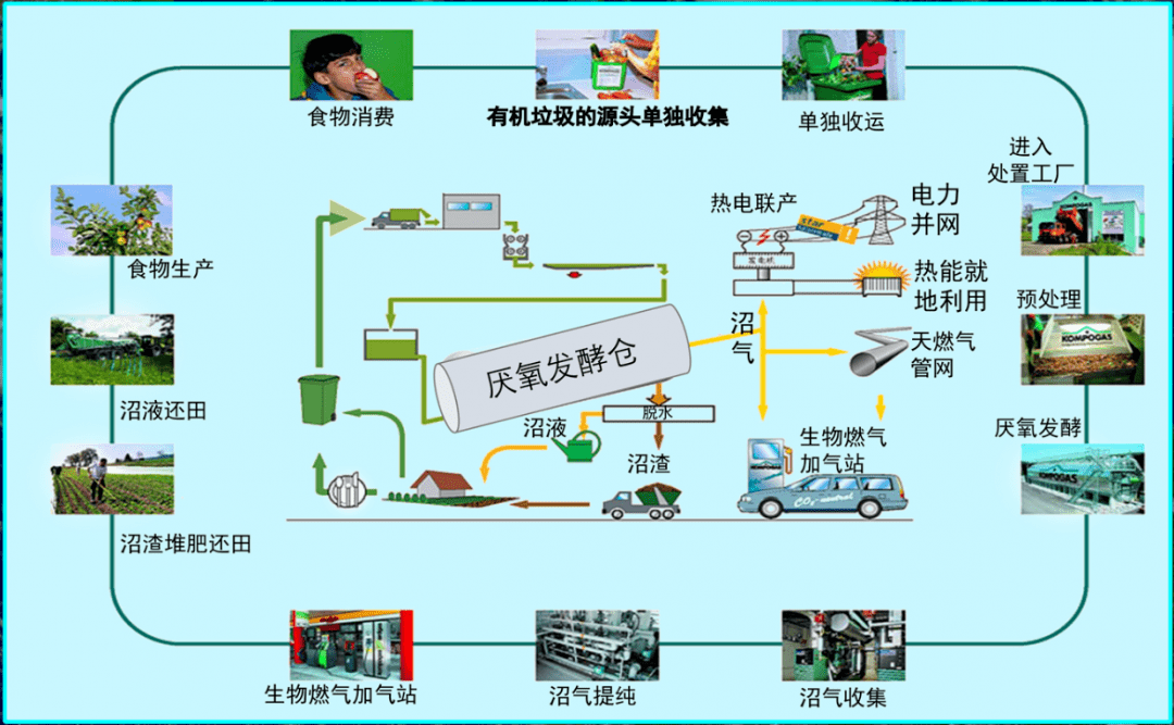 有機垃圾處理使用.png