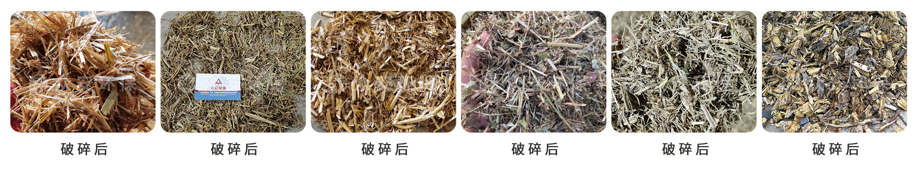 生物質_02.jpg
